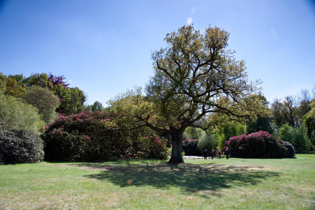 Petwood Hotel Woodhall Spa Εξωτερικό φωτογραφία